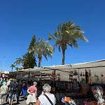 Palmview Poolside Heaven In Turquesa Del Mar דירה *